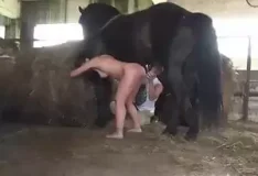 Cavalo mete gostoso na buceta da safada
