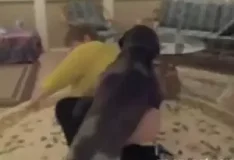 Gordinha safada dando o cu para um cachorro com pau enorme