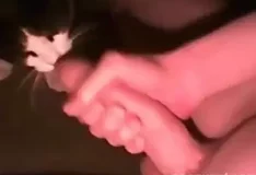 Homem dotado faz gato chupar seu pau grosso