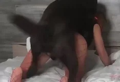 Mulher safada de lingerie transando com cachorro