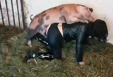 Porco mete com mulher no chiqueiro em vídeo explícito