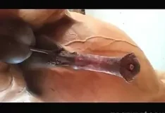 Putaria intensa com cavalo dotado e rola enorme