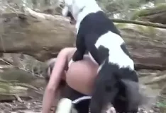 Novo título: Mulher rabuda fode com cachorro no meio do mato
