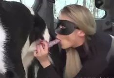 Loira gostosa chupa pau de cachorro pela primeira vez