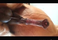 Cavalo com pau duro em cena de sexo ao vivo