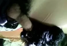 Cachorro lambendo e chupando seu pau com vontade