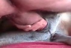 Homem grava vídeo transando com cachorras