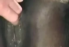 Homem mete pau na buceta da égua no cio