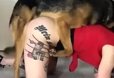 Mulher de quatro mostra a bunda enquanto o cachorro a penetra