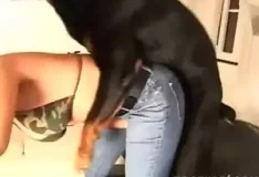 Mulher se troca na frente do cachorro e ele come sua buceta