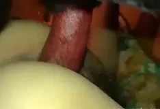 Cachorro enfia a rola vermelha na buceta da mulher