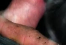 Fazendo sexo com meu animal de estimação dentro de casa