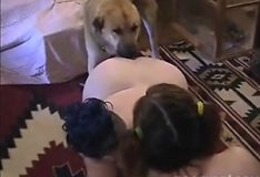 Duas amigas safadas transando com um cachorro enorme