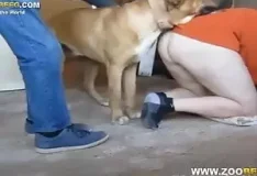 Branquinha gostosa dando o cu para o cachorro do marido