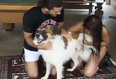 Mulher e homem transam com cachorro peludo no vídeo