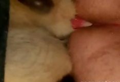 Mulher safada transando com animais de forma bem gostosa