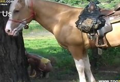 Mulher transa com cavalo de pica enorme em vídeo de zoofilia