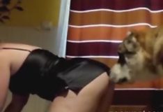 Esposa safada mostra o cu e trai o marido com um cachorro