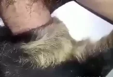 Marido safado fode a cadela da mulher sem dó